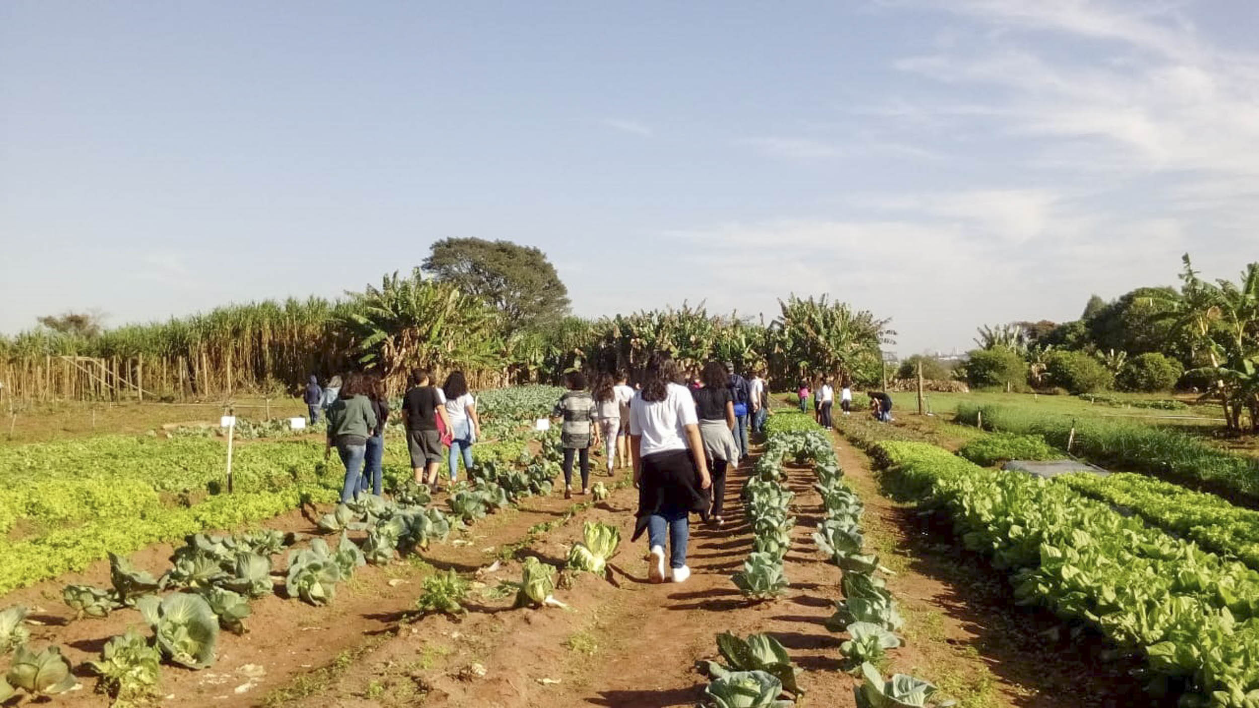 2019 04 17 Projeto Fazenda do Conhecimento 