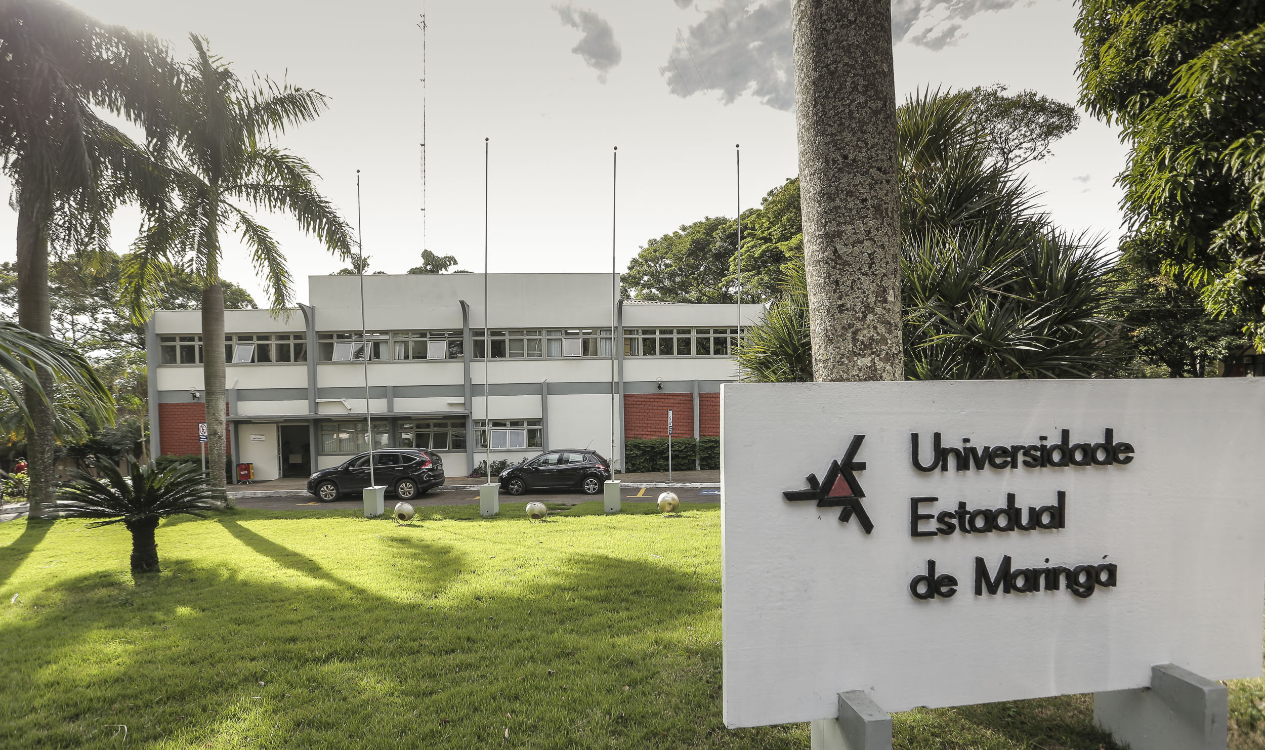 fachada reitoria uem 6 contrata temporarios