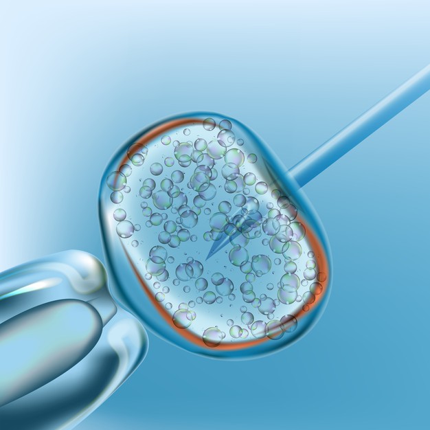 ivf inseminacao artificial design realista 3d 200341 112