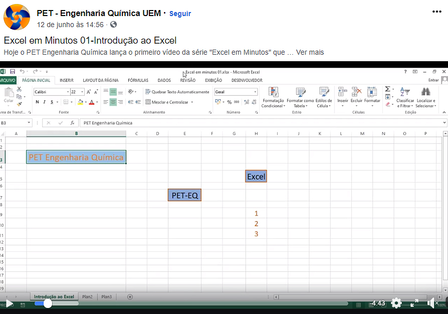 pet eng quim excel