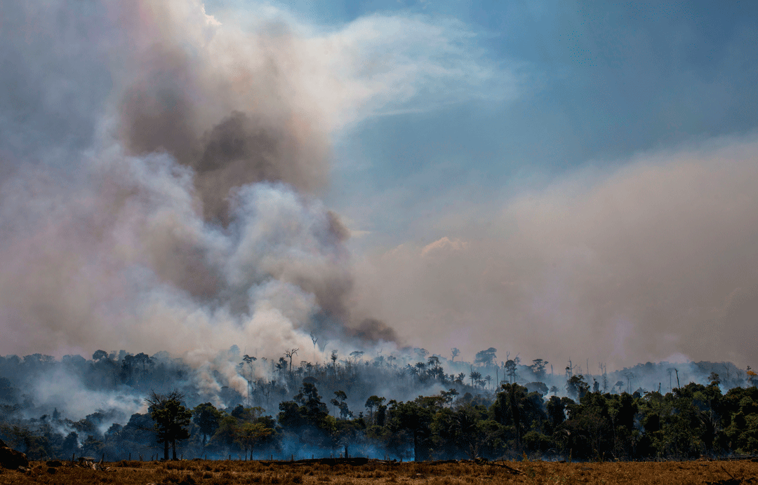 Foto: Getty Images/ BBC News Brasil