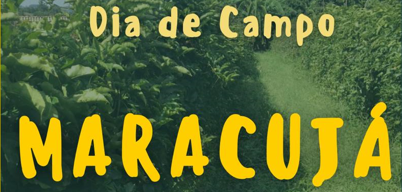 dia de campo maracuja