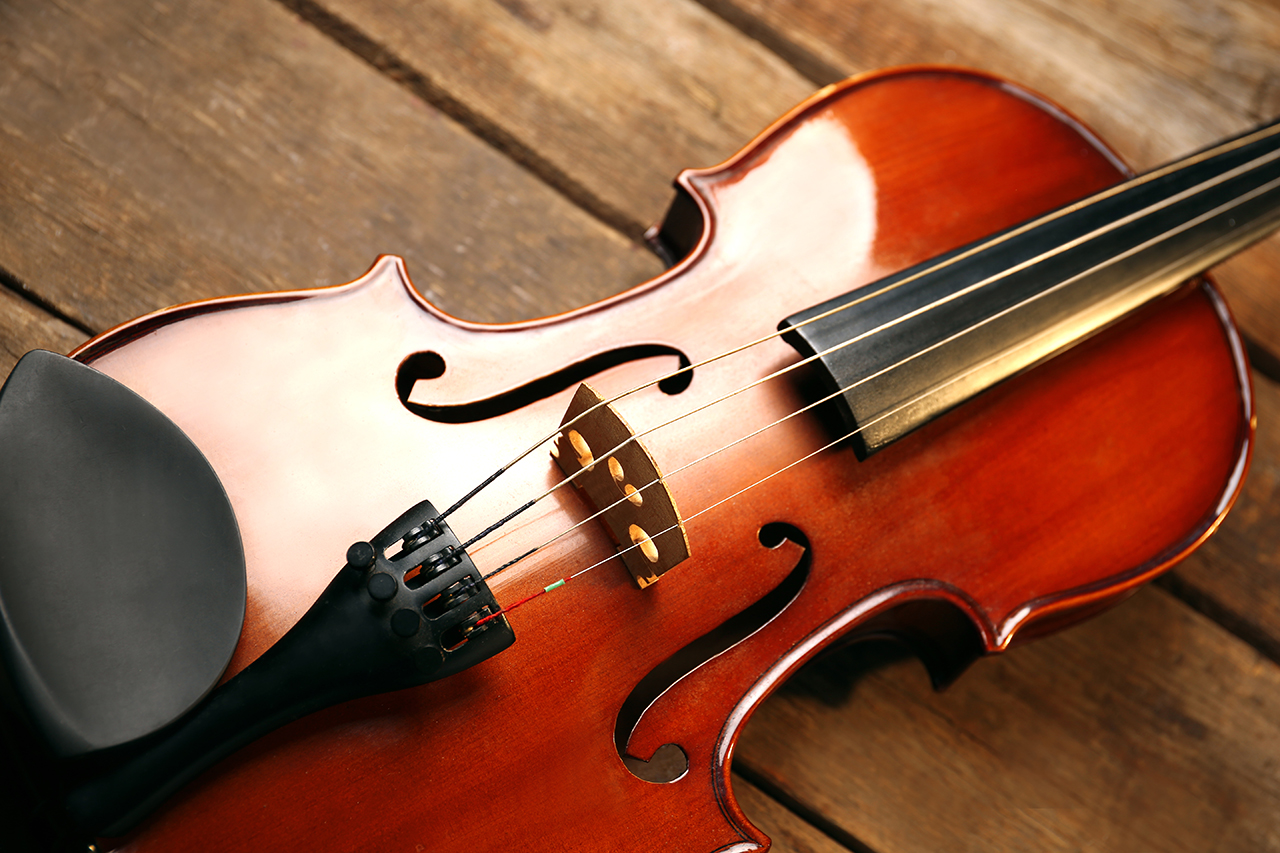 web violin on wooden background