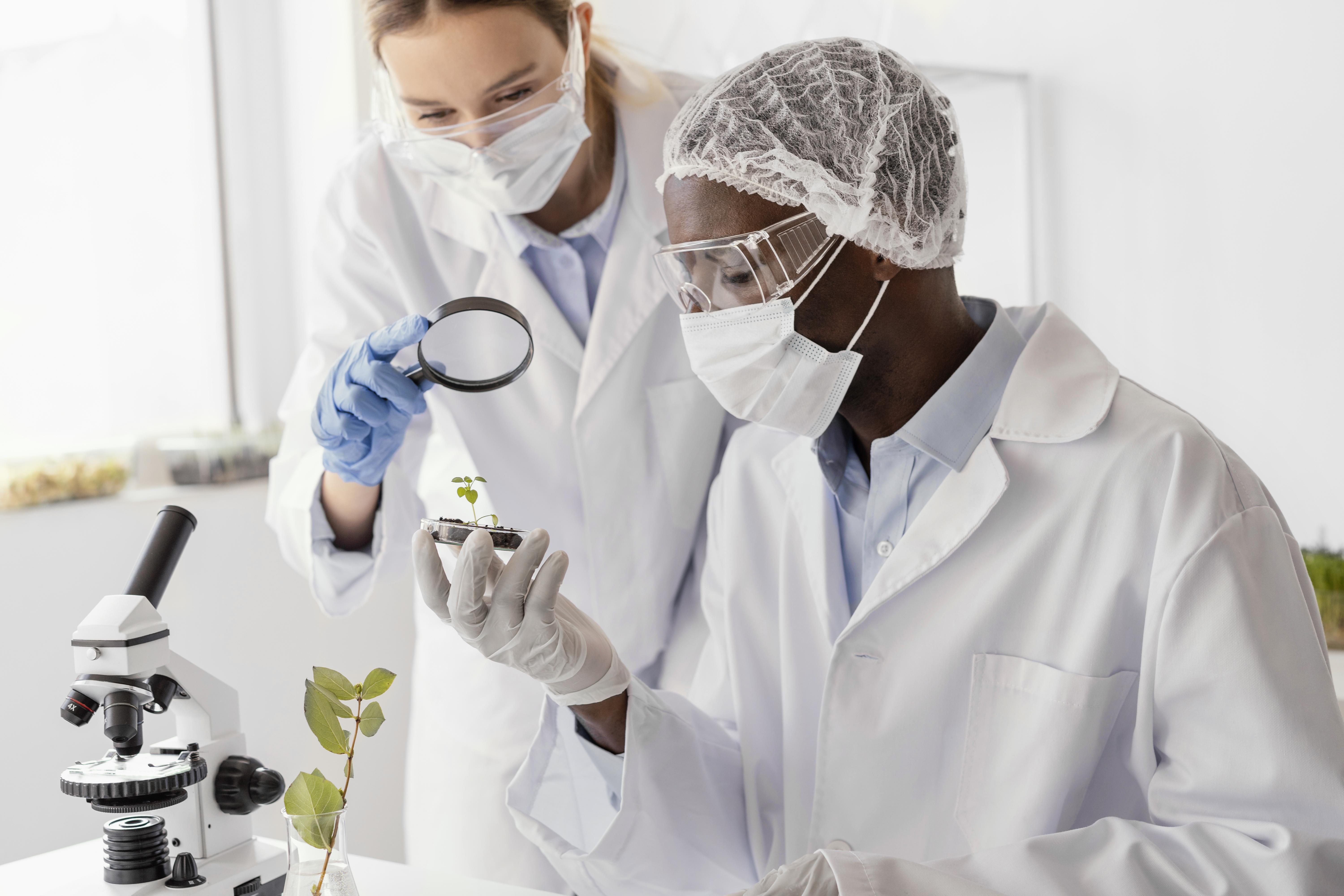 pesquisadores de tiro medio com planta