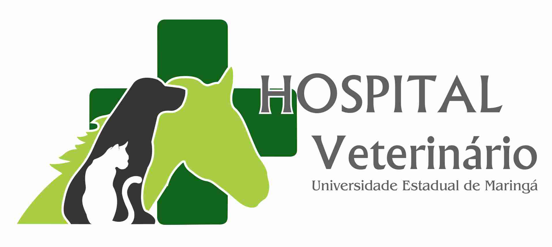 vet